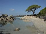 PICT0983